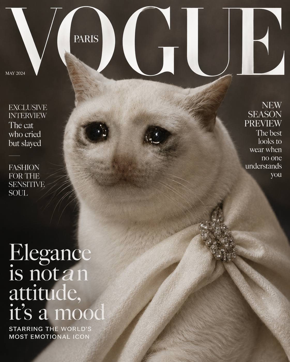 The sad cat on the cover of Vogue Paris magazine